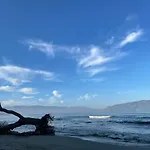 Konukevi Zini