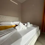 Zini 3*