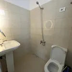 Zini Konukevi