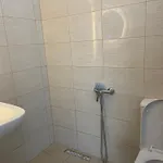 Zini Avlonya